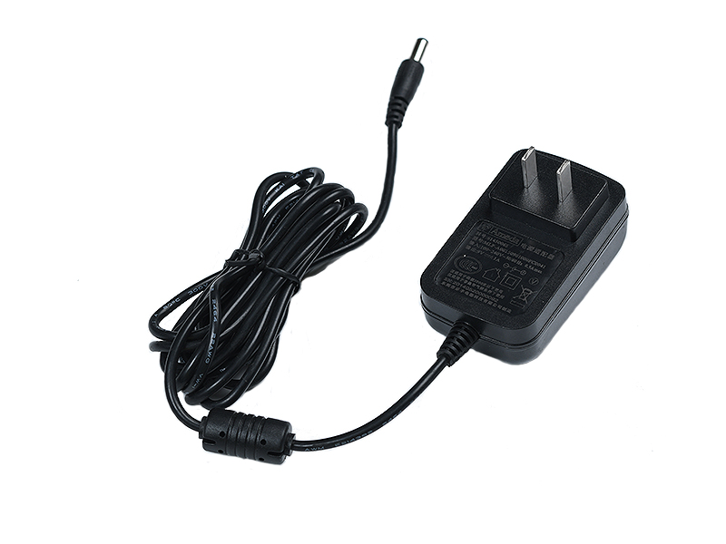 C06 -CN plug power adapter