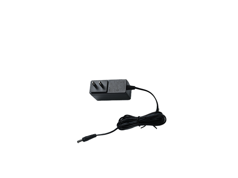 C08 24W power adapter